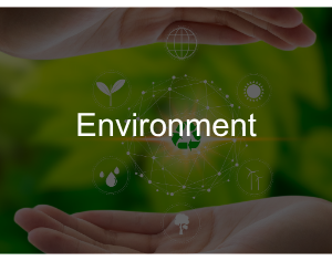 Green Building Implementation